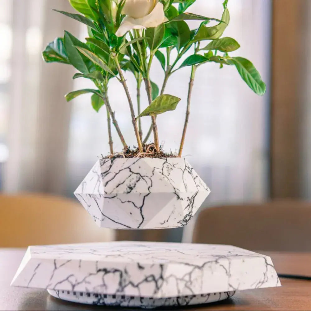 Levitating Air Bonsai Pot Rotation Flower