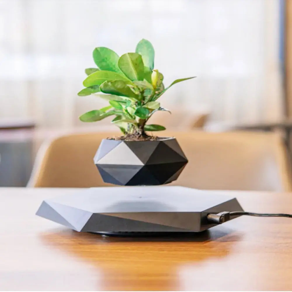 Levitating Air Bonsai Pot Rotation Flower